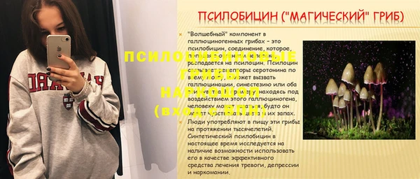 шишки Каменск-Шахтинский