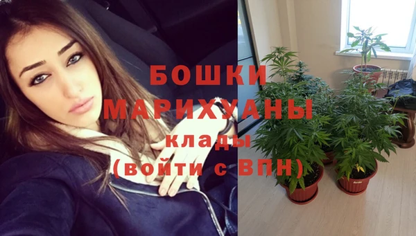 шишки Каменск-Шахтинский