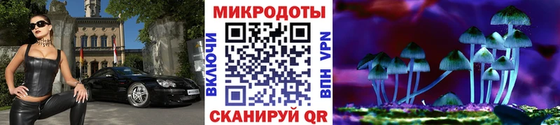 Галлюциногенные грибы Psilocybine cubensis  Купить  Отрадный 